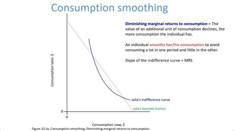 sumption smoothing depends on village-level aggregate shocks. . Consumption smoothing utility function